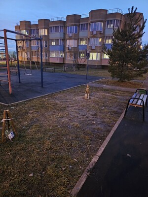 Продам однокомнатную (1-комн.) квартиру, Сосновая ул, 4, Полтево д