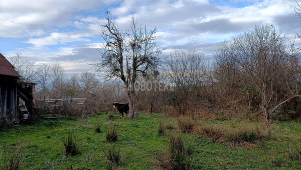 Продам дом, Красная ул, 25, Нефтегорск пгт, 0 км от города