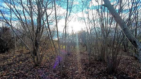 Продам дом, Красная ул, 25, Нефтегорск пгт, 0 км от города