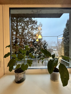 Продам двухкомнатную (2-комн.) квартиру, Авиаторов проезд, 5, Подольск г