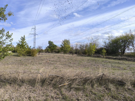 Продам участок 11 соток, Фермерское хоз., Мира ул, Украинка с, 0 км от города