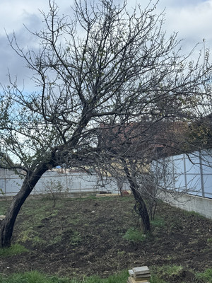 Продам дом, Терешковой ул, Супсех с, 0 км от города