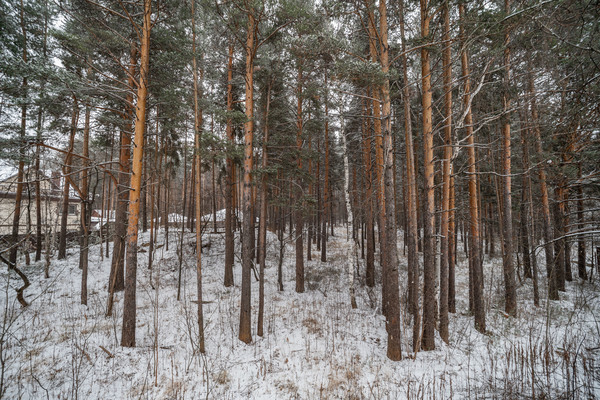 Продам склад 728,6 м2, Шиловская ул, 30, Березовский г