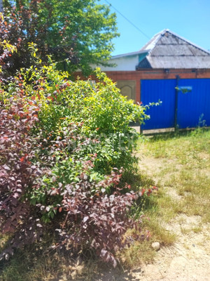 Продам дом, Пушкина ул, 37, Апшеронск г, 0 км от города