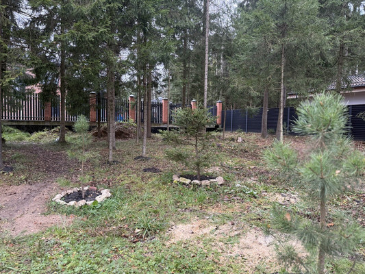 Продам дом, ДСК Радио тер, 66, НИИ Радио п, 0 км от города