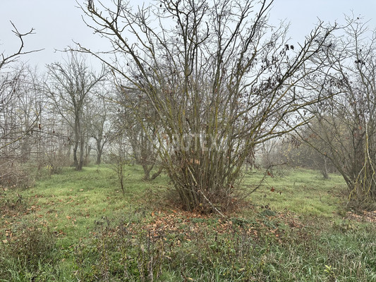 Продам дом, Восточная ул, 23, Васильевский х, 0 км от города