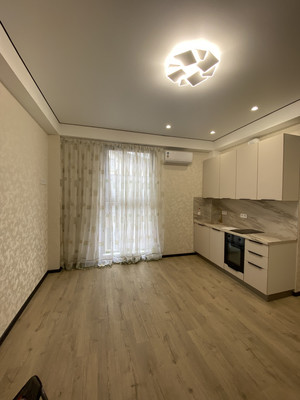 Продам однокомнатную (1-комн.) квартиру, Виноградная ул, 176, Беранда с