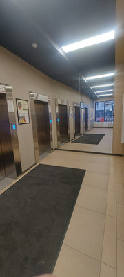 Сдам однокомнатную (1-комн.) квартиру, Архитектора Белова ул, 9, Парголово п