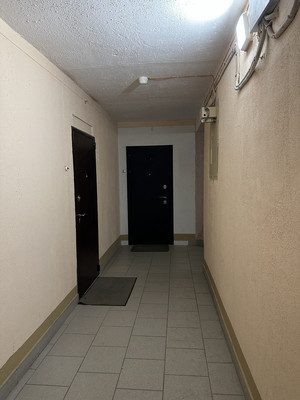 Сдам двухкомнатную (2-комн.) квартиру, Ириновский пр-кт, 27к1, Санкт-Петербург г