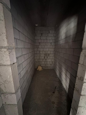 Продам таунхаус, Мира ул, Шалушка с, 0 км от города