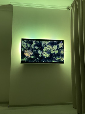 Сдам однокомнатную (1-комн.) квартиру, Руднева ул, 16, Санкт-Петербург г