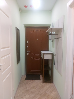 Сдам однокомнатную (1-комн.) квартиру, Руднева ул, 16, Санкт-Петербург г