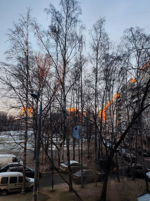 Продам трехкомнатную (3-комн.) квартиру, Культуры пр-кт, 22к1, Санкт-Петербург г