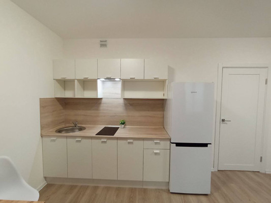 Сдам однокомнатную (1-комн.) квартиру, Чарушинская ул, 32, Санкт-Петербург г