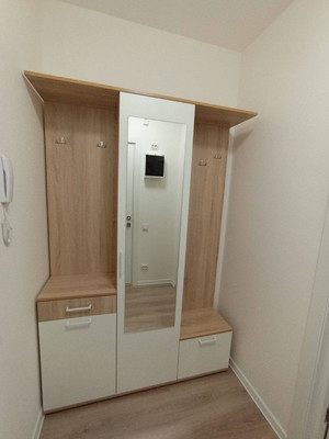 Сдам однокомнатную (1-комн.) квартиру, Чарушинская ул, 32, Санкт-Петербург г