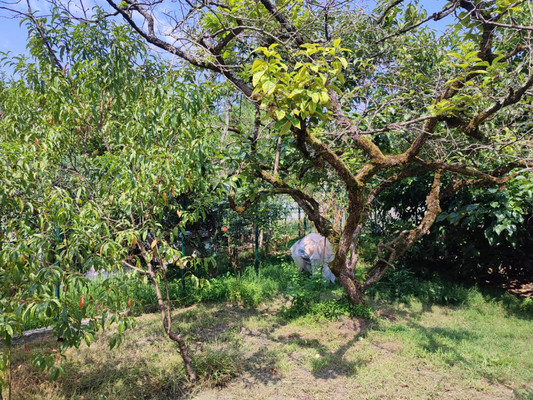 Продам участок 5 соток, ИЖС, Леселидзе ул, 53/2, Пластунка с, 0 км от города