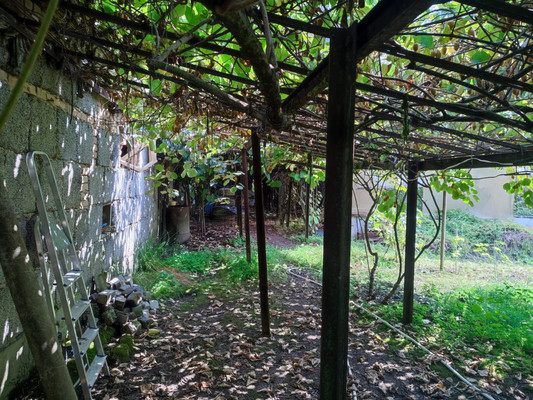 Продам участок 5 соток, ИЖС, Леселидзе ул, 53/2, Пластунка с, 0 км от города