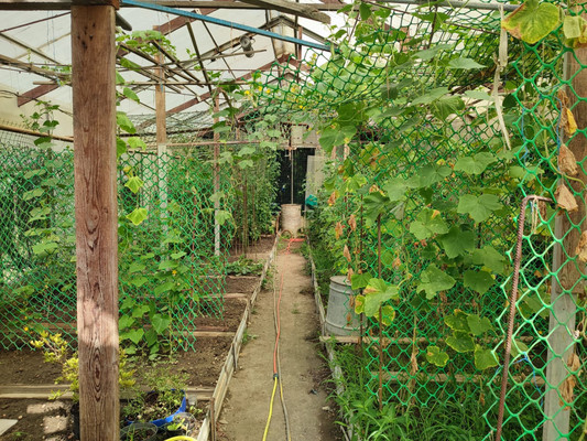 Продам участок 5 соток, ИЖС, Леселидзе ул, 53/2, Пластунка с, 0 км от города