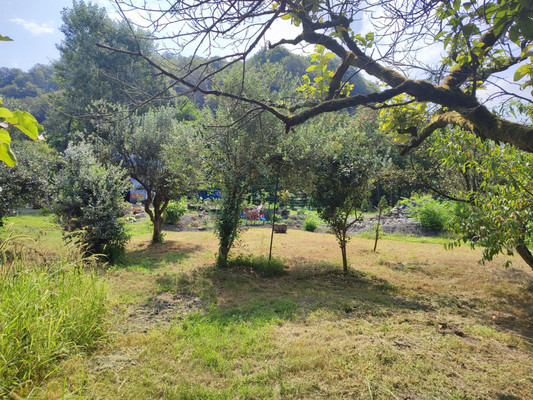 Продам участок 5 соток, ИЖС, Леселидзе ул, 53/2, Пластунка с, 0 км от города