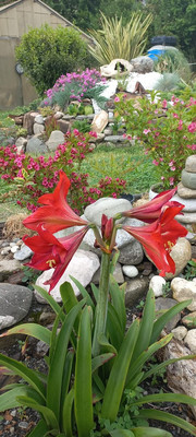 Продам участок 5 соток, ИЖС, Леселидзе ул, 53/2, Пластунка с, 0 км от города