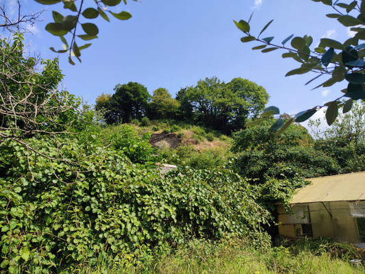 Продам участок 5 соток, ИЖС, Леселидзе ул, 53/2, Пластунка с, 0 км от города