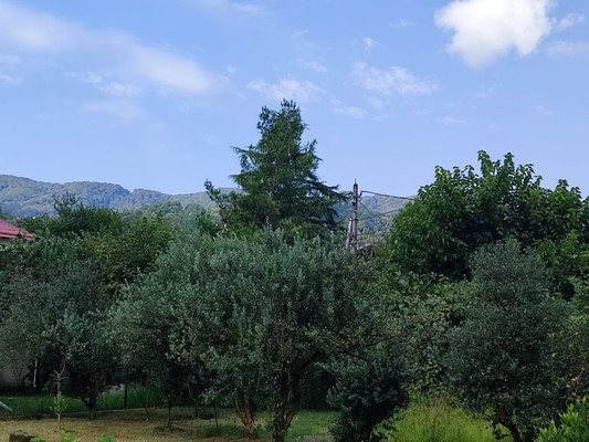 Продам участок 5 соток, ИЖС, Леселидзе ул, 53/2, Пластунка с, 0 км от города