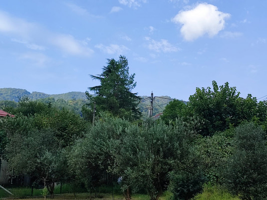 Продам участок 5 соток, ИЖС, Леселидзе ул, 53/2, Пластунка с, 0 км от города