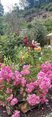 Продам участок 5 соток, ИЖС, Леселидзе ул, 53/2, Пластунка с, 0 км от города