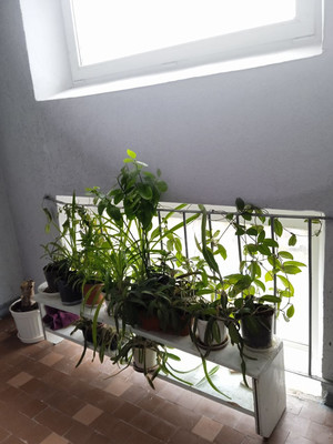 Продам двухкомнатную (2-комн.) квартиру, Интернациональная ул, 2, Новороссийск г