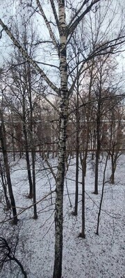 Продам двухкомнатную (2-комн.) квартиру, Болотниковская ул, 51к2, Москва г