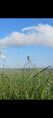 Продам участок 21 соток, ИЖС, Песчаная ул, 12, Гостагаевская ст-ца, 0 км от города
