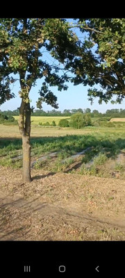 Продам участок 21 соток, ИЖС, Песчаная ул, 12, Гостагаевская ст-ца, 0 км от города