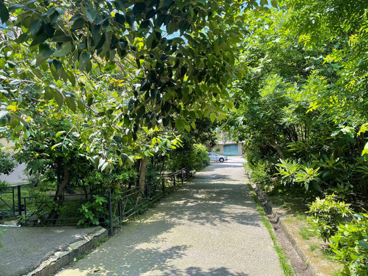 Продам однокомнатную (1-комн.) квартиру, Первомайская (Центральный р-н) ул, 27, Сочи г