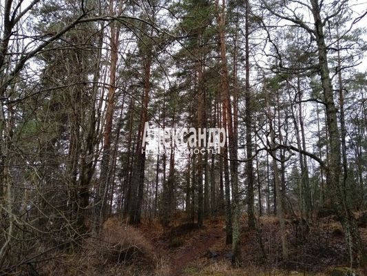 Продам двухкомнатную (2-комн.) квартиру, Приозерское ш, 7, Кузнечное гп