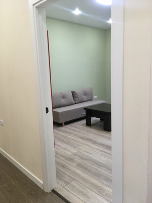 Сдам двухкомнатную (2-комн.) квартиру, Непокорённых пр-кт, 13к1, Санкт-Петербург г