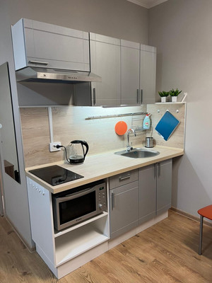 Сдам однокомнатную (1-комн.) квартиру, Толубеевский проезд, 8к2, Парголово п