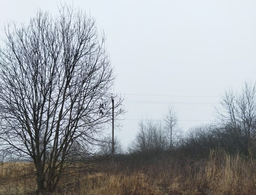 Продам участок 15 соток, ИЖС, Комсомольская ул, Дубровичи с, 0 км от города