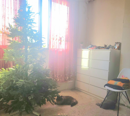 Продам двухкомнатную (2-комн.) квартиру, Ландышевая (Бриз снт) ул, 12д, Сочи г