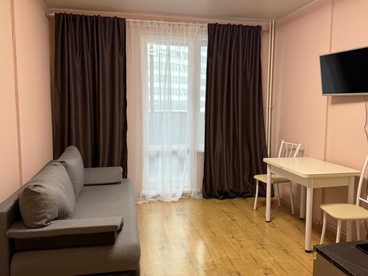 Сдам однокомнатную (1-комн.) квартиру, Александра Грина б-р, 3, Санкт-Петербург г