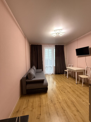 Сдам однокомнатную (1-комн.) квартиру, Александра Грина б-р, 3, Санкт-Петербург г