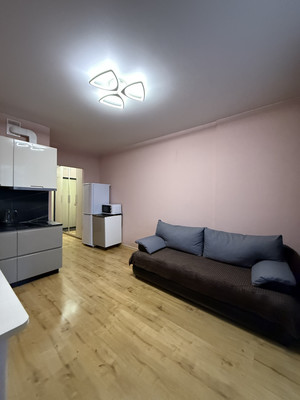 Сдам однокомнатную (1-комн.) квартиру, Александра Грина б-р, 3, Санкт-Петербург г