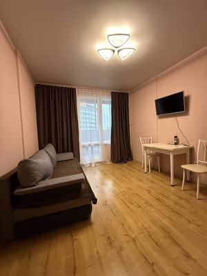 Сдам однокомнатную (1-комн.) квартиру, Александра Грина б-р, 3, Санкт-Петербург г