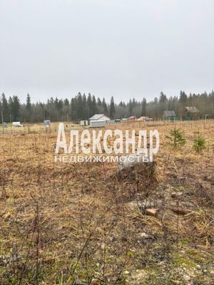 Продам участок 20 соток, ДНП, поселок КП Лисички, Сюрье д, 45 км от города