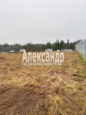 Продам участок 20 соток, ДНП, поселок КП Лисички, Сюрье д, 45 км от города