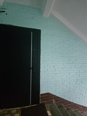 Продам трехкомнатную (3-комн.) квартиру, Стрельнинское ш, 6к3, Красное Село г