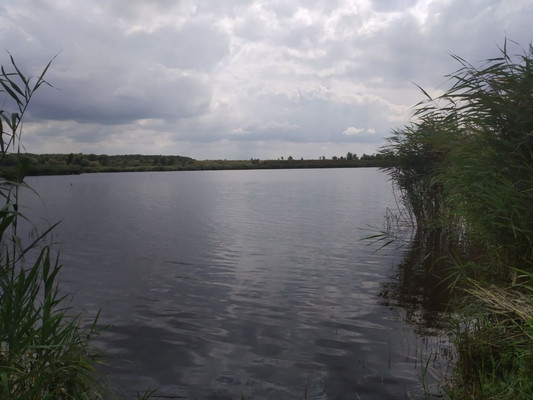 Продам участок 6 соток, Фермерское хоз., Родничок тер. СПК, Ключи с, 0 км от города