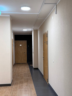 Сдам однокомнатную (1-комн.) квартиру, Коломяжский пр-кт, 13к3, Санкт-Петербург г