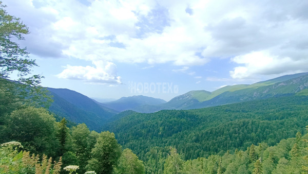 Продам участок 40 соток, ИЖС, Железнодорожная ул, Тубы с, 0 км от города