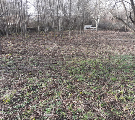 Продам участок 9,76 соток, Фермерское хоз., Медик снт, Лозовое с, 0 км от города