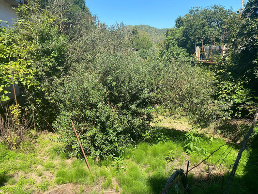 Продам участок 4,4 соток, ИЖС, Юг снт, Сочи г, 0 км от города